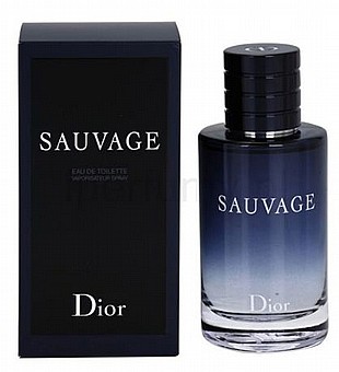 dior homme 2006