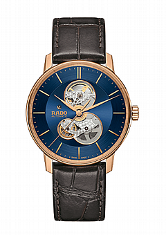  ���� ���� Rado DiaStar R22895215
