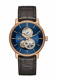  ���� ���� Rado DiaStar R22895215