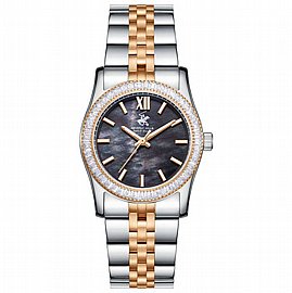 ���� �� BP3875C.560 �����