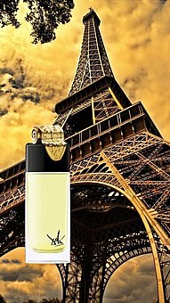 ���� ������� �� ���� �������� ��� ������� 100 �"� Tester Salvador Dali Fluidite Du Temps Imaginaire EDP Unisex 100ML