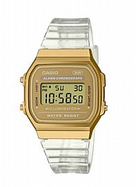 ���� �� ������� A168XESG-9A Casio
