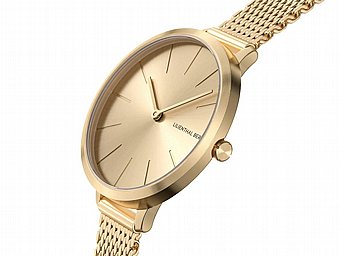 ���� ���� ��������� Lilienthal Rosalux