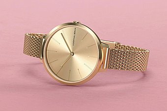���� ���� ��������� Lilienthal Rosalux