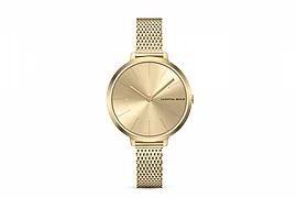 ���� ���� ��������� Lilienthal Rosalux