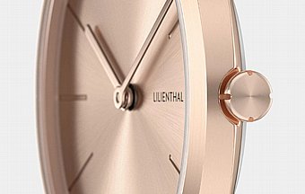 Lilienthal Rosalux | Rose Bloom