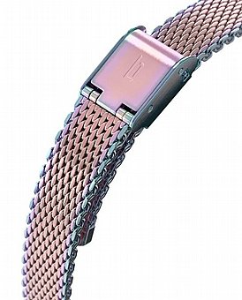 ���� ���� ��������� Lilienthal Rosalux