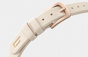 ���� ���� ��������� Lilienthal Rosalux