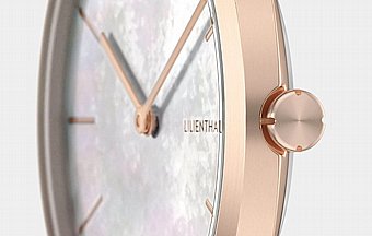���� ���� ��������� Lilienthal Rosalux
