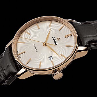 ���� �� �������� Rado R22861115 ���� ��������� Coupole
