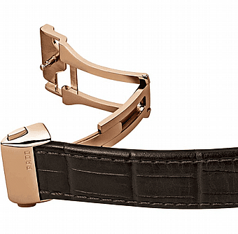 ���� ���� ���� RADO R22861755