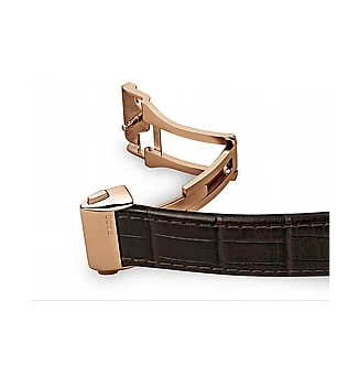 ���� �� �������� Rado R22861115 ���� ��������� Coupole