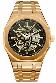 ���� �������  ������ ��� 18K ���� TRITION