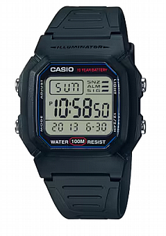 ���� ���� CASIO W-800H-1AV