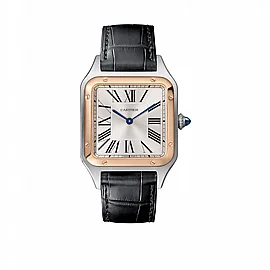 ���� ������ Cartier Santos-Dumont watch wgsa0021