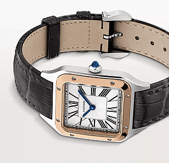 ���� ������ Cartier Santos-Dumont watch  W2SA0012