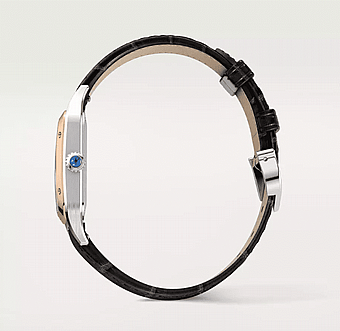 ���� ������ Cartier Santos-Dumont watch  W2SA0012