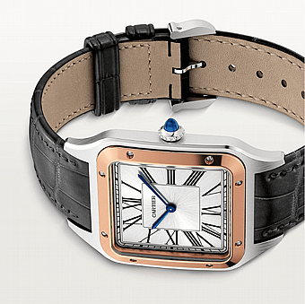 ���� ������ Cartier Santos-Dumont EXTRA LARGE W2SA0017