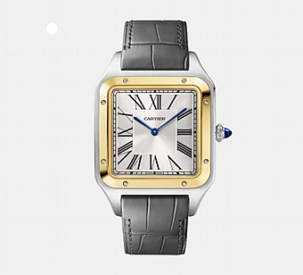 ���� ������ ���� Cartier Santos-Dumont Extra Large W2SA0034