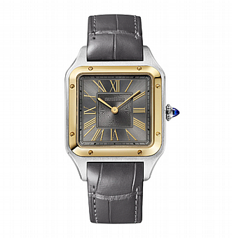 ���� ������ ���� Cartier Santos-Dumont Large W2SA0036