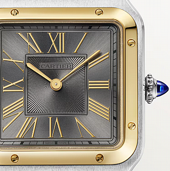 ���� ������ ���� Cartier Santos-Dumont Large W2SA0036