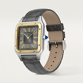 ���� ������ ���� Cartier Santos-Dumont Large W2SA0036