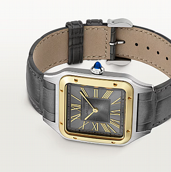 ���� ������ ���� Cartier Santos-Dumont Large W2SA0036