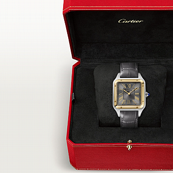���� ������ ���� Cartier Santos-Dumont Large W2SA0036