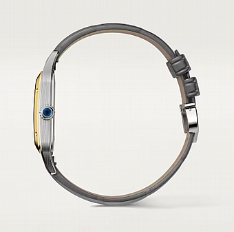 ���� ������ ���� Cartier Santos-Dumont Large W2SA0036