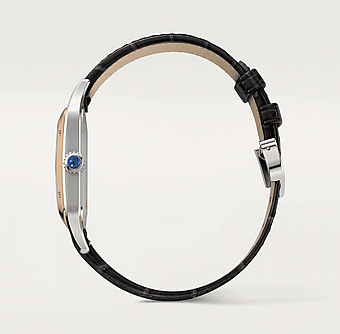 ���� ������ Cartier Santos-Dumont LARGE W2SA0037