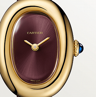 ���� ������ Cartier Baignoire watch WGBA0032