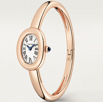 ���� ������ Cartier Baignoire watch WGBA0051