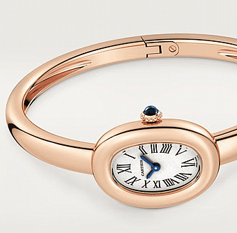 ���� ������ Cartier Baignoire watch WGBA0051