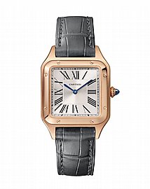 ���� ������ Cartier Santos-Dumont watch wgsa0021