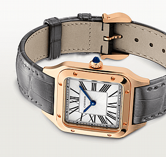 ���� ������ Cartier Santos-Dumont watch wgsa0117