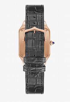 ���� ������ Cartier Santos-Dumont watch wgsa0117