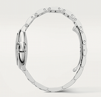 ���� ������ Ballon Bleu de Cartier WSBB0062 