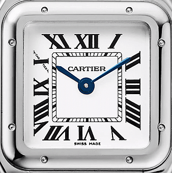 ���� ������ Panth?re de Cartier WSPN0006