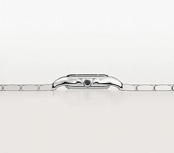���� ������ Panth?re de Cartier WSPN0006
