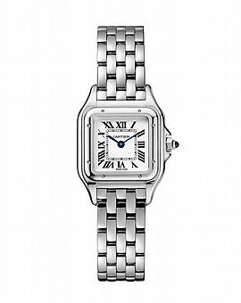 ���� ������ Cartier Santos-Dumont watch wgsa0022