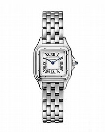 ���� ������ Cartier Santos-Dumont watch wgsa0022