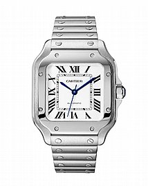 ���� ������ Santos de Cartier watch WSSA0029