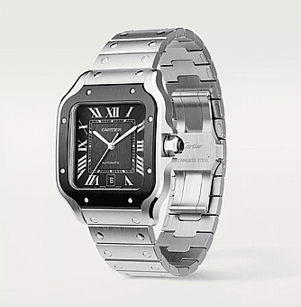 ���� ������ Santos de Cartier watch WSSA0037
