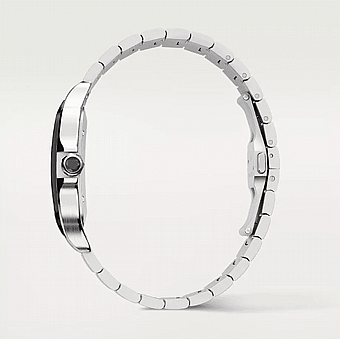 ���� ������ Santos de Cartier watch WSSA0037