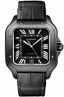 ���� ���� CARTIER WSSA0039