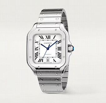 ���� ������ ���� Santos de Cartier WSSA0018