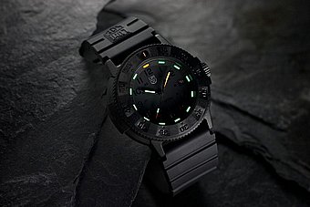Luminox Navy SEAL Original EVO